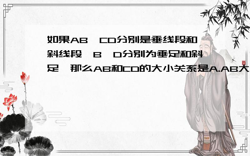 如果AB、CD分别是垂线段和斜线段,B、D分别为垂足和斜足,那么AB和CD的大小关系是A.AB大于CD B.AB =CD C.AB小于CD D.以上都不对