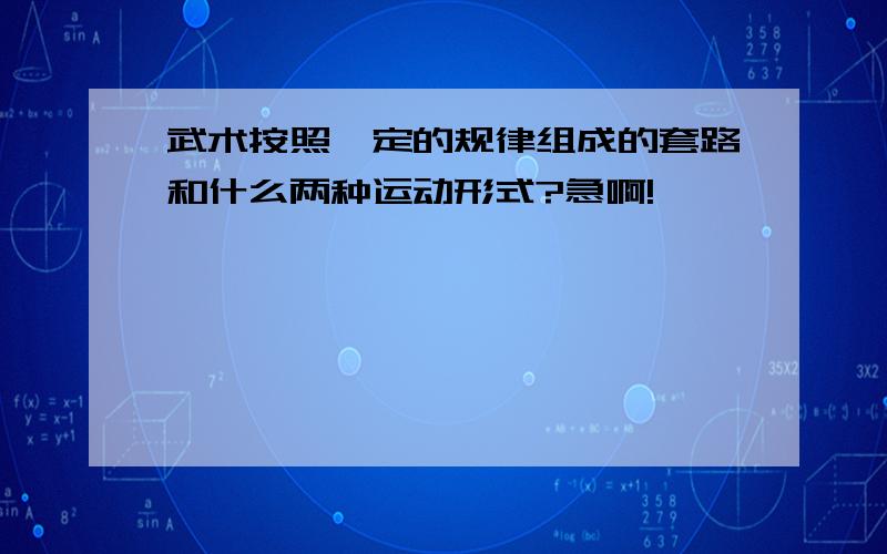 武术按照一定的规律组成的套路和什么两种运动形式?急啊!