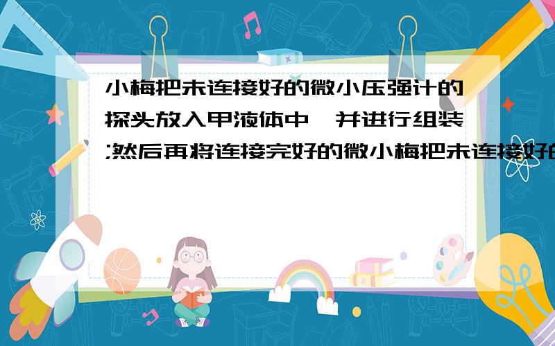 小梅把未连接好的微小压强计的探头放入甲液体中,并进行组装;然后再将连接完好的微小梅把未连接好的微小压强计的探头放入甲液体中,并进行组装；然后再将连接完好的微小压强计的探头