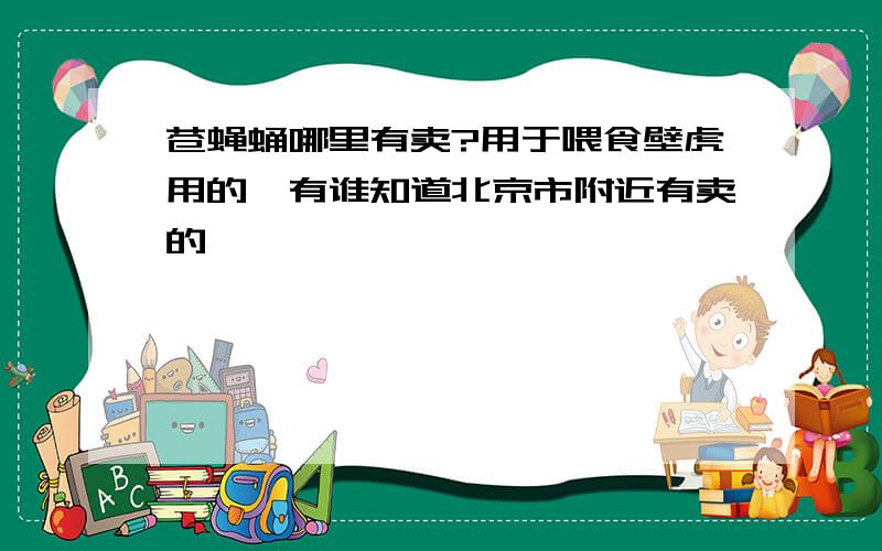 苍蝇蛹哪里有卖?用于喂食壁虎用的,有谁知道北京市附近有卖的,