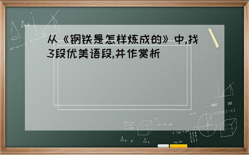 从《钢铁是怎样炼成的》中,找3段优美语段,并作赏析