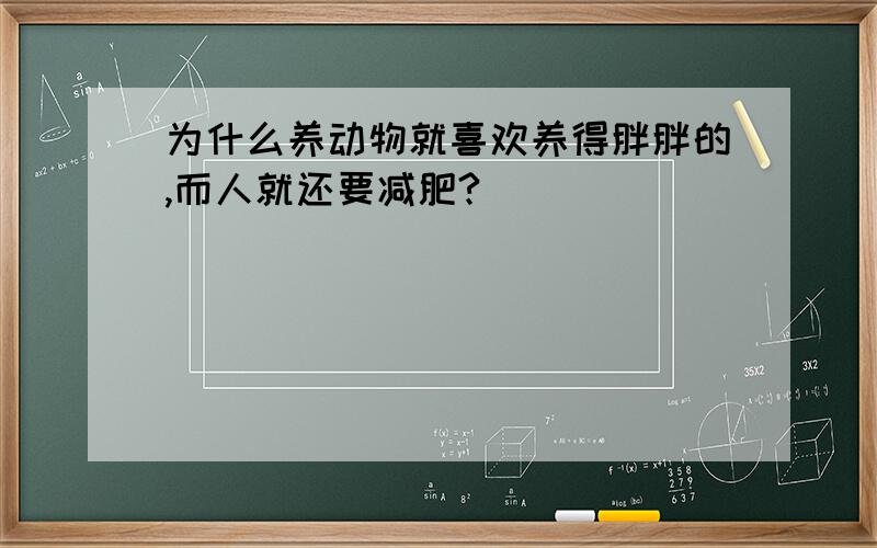 为什么养动物就喜欢养得胖胖的,而人就还要减肥?