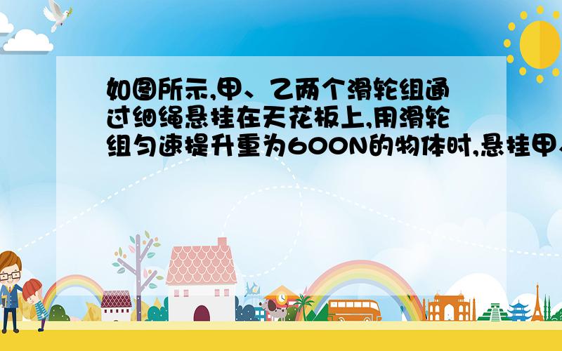 如图所示,甲、乙两个滑轮组通过细绳悬挂在天花板上,用滑轮组匀速提升重为600N的物体时,悬挂甲、乙两滑轮组的细绳所受的拉力分别为F甲、F乙,已知每个滑轮重30N,不计绳重及滑轮轴间的摩