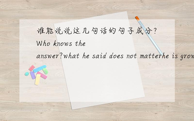 谁能说说这几句话的句子成分?Who knows the answer?what he said does not matterhe is growing tall and strong