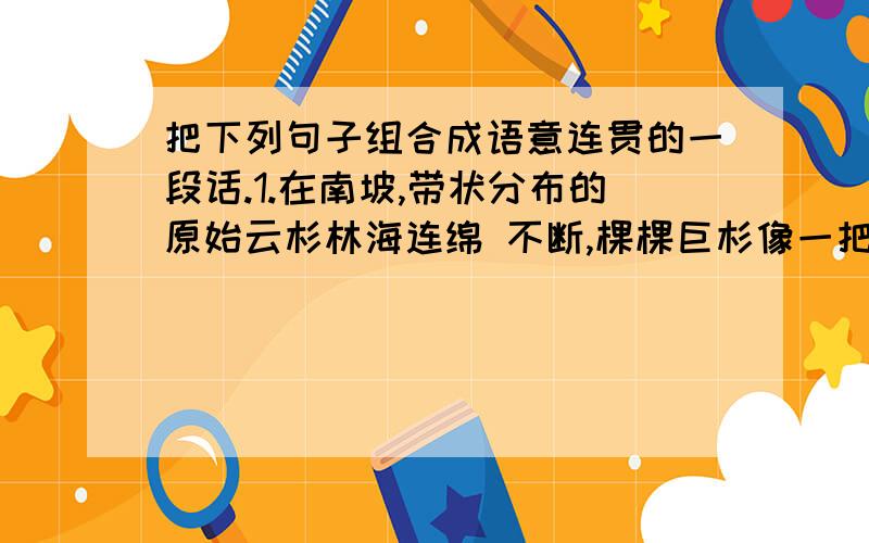 把下列句子组合成语意连贯的一段话.1.在南坡,带状分布的原始云杉林海连绵 不断,棵棵巨杉像一把把利剑,直插云天.2.在北坡的五花甸草原上,你可以看见新 疆细毛羊群和奔驰的伊犁马群.3.在