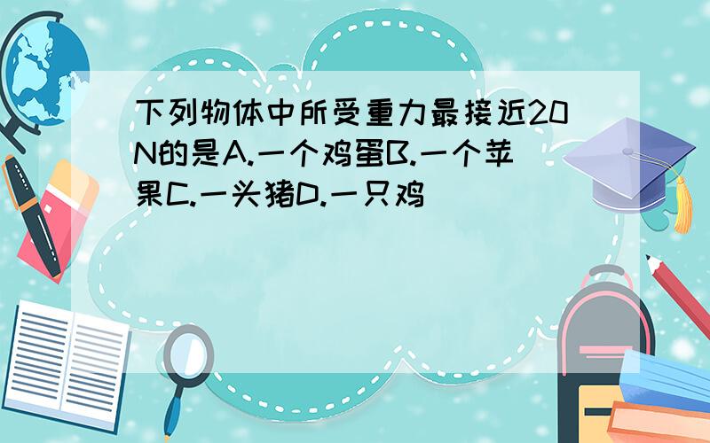 下列物体中所受重力最接近20N的是A.一个鸡蛋B.一个苹果C.一头猪D.一只鸡