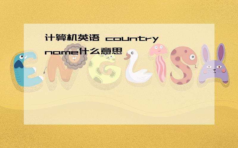 计算机英语 country name什么意思