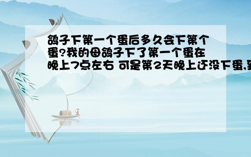 鸽子下第一个蛋后多久会下第个蛋?我的母鸽子下了第一个蛋在晚上7点左右 可是第2天晚上还没下蛋,到现在有40个小时了 还没下第2个蛋是怎么回事啊?知道的速度 告诉下 急!