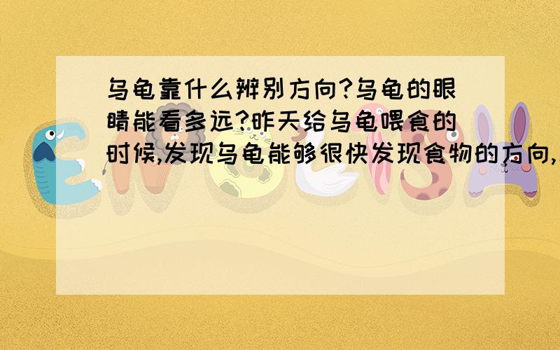 乌龟靠什么辨别方向?乌龟的眼睛能看多远?昨天给乌龟喂食的时候,发现乌龟能够很快发现食物的方向,乌龟是靠什么辨别方向的,和蛇的眼睛有相似之处吗?