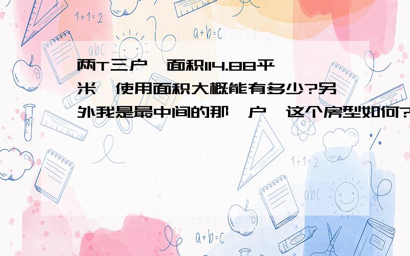 两T三户,面积114.88平米,使用面积大概能有多少?另外我是最中间的那一户,这个房型如何?