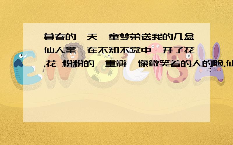 暮春的一天,童梦弟送我的几盆仙人掌,在不知不觉中,开了花.花 粉粉的,重瓣,像微笑着的人的脸.仙人掌不哭泣 童梦弟搬来我家隔壁住的时候,手里托着一盆仙人掌.我家隔壁,是两间老式平房.门