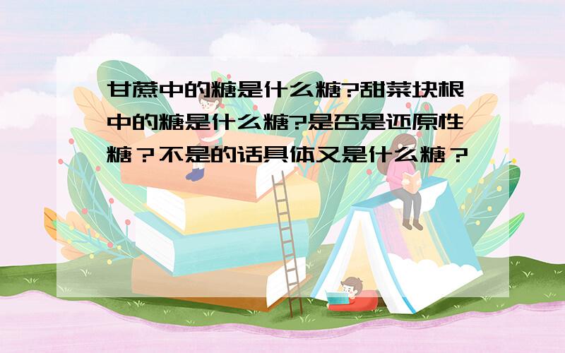 甘蔗中的糖是什么糖?甜菜块根中的糖是什么糖?是否是还原性糖？不是的话具体又是什么糖？