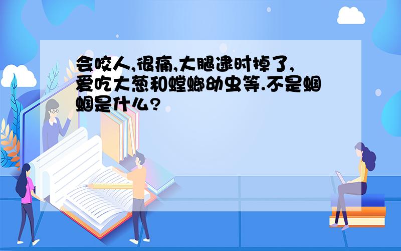 会咬人,很痛,大腿逮时掉了,爱吃大葱和螳螂幼虫等.不是蝈蝈是什么?