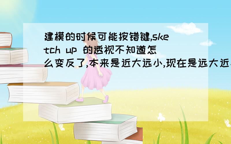 建模的时候可能按错键,sketch up 的透视不知道怎么变反了,本来是近大远小,现在是远大近小,怎么回事啊