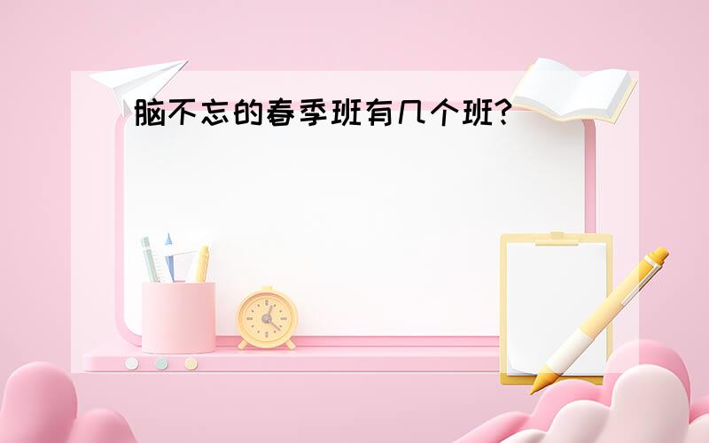 脑不忘的春季班有几个班?