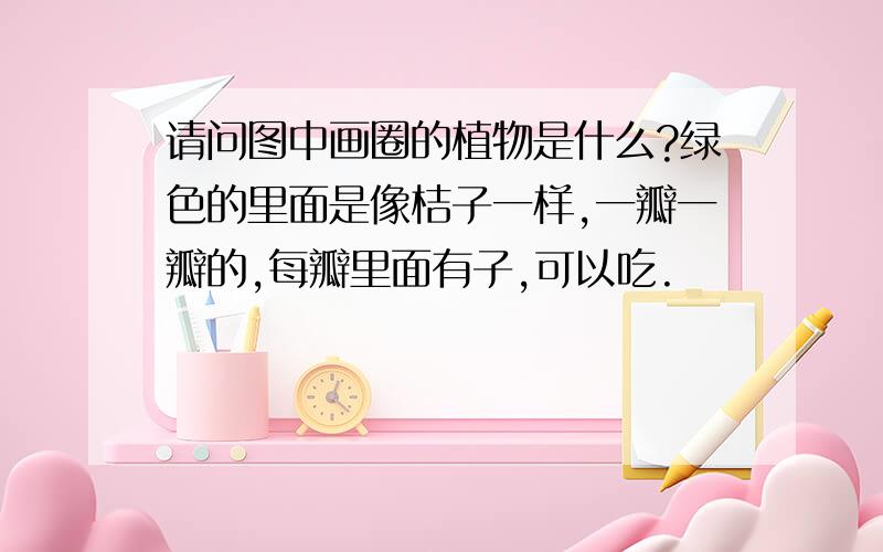 请问图中画圈的植物是什么?绿色的里面是像桔子一样,一瓣一瓣的,每瓣里面有子,可以吃.