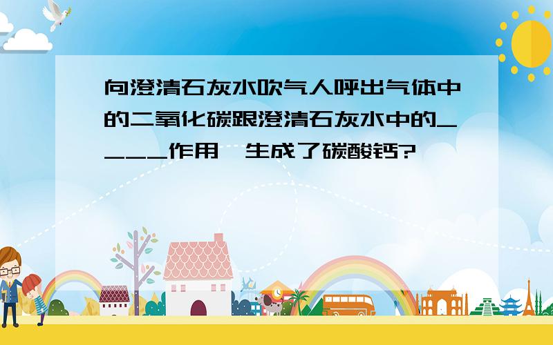 向澄清石灰水吹气人呼出气体中的二氧化碳跟澄清石灰水中的____作用,生成了碳酸钙?