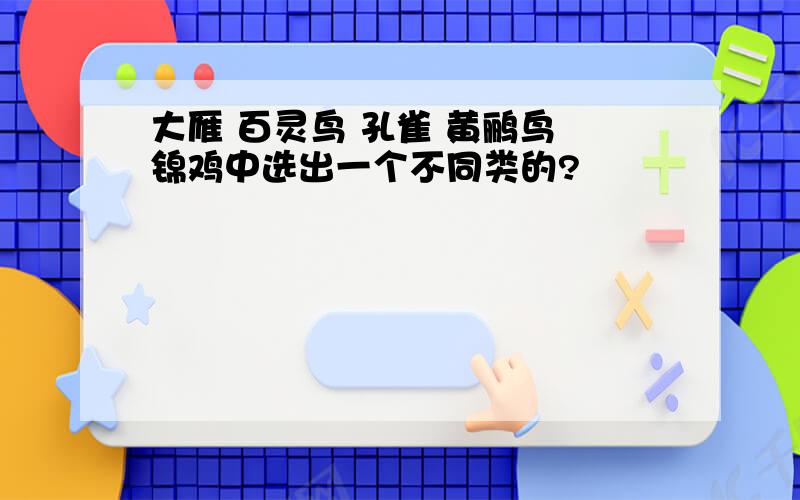 大雁 百灵鸟 孔雀 黄鹂鸟 锦鸡中选出一个不同类的?