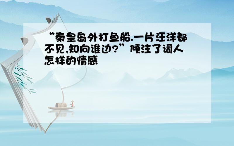 “秦皇岛外打鱼船.一片汪洋都不见,知向谁边?”倾注了词人怎样的情感