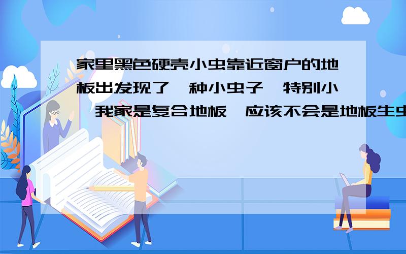 家里黑色硬壳小虫靠近窗户的地板出发现了一种小虫子…特别小…我家是复合地板,应该不会是地板生虫吧…卫生间也有,顺着墙砖往上爬…大家谁知道是什么虫…黑色,硬壳,特别小,3mm左右吧