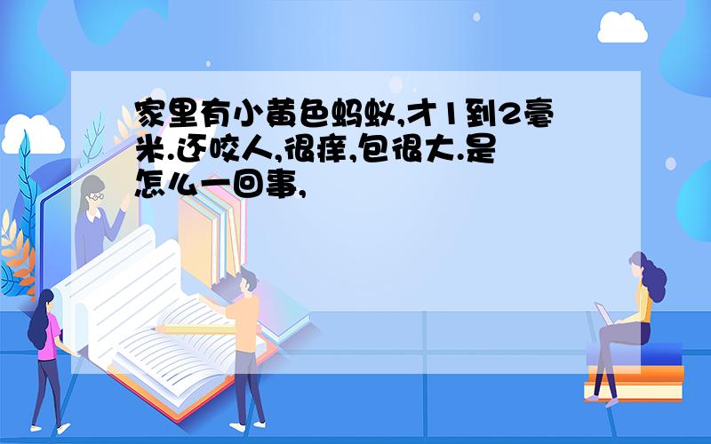 家里有小黄色蚂蚁,才1到2毫米.还咬人,很痒,包很大.是怎么一回事,