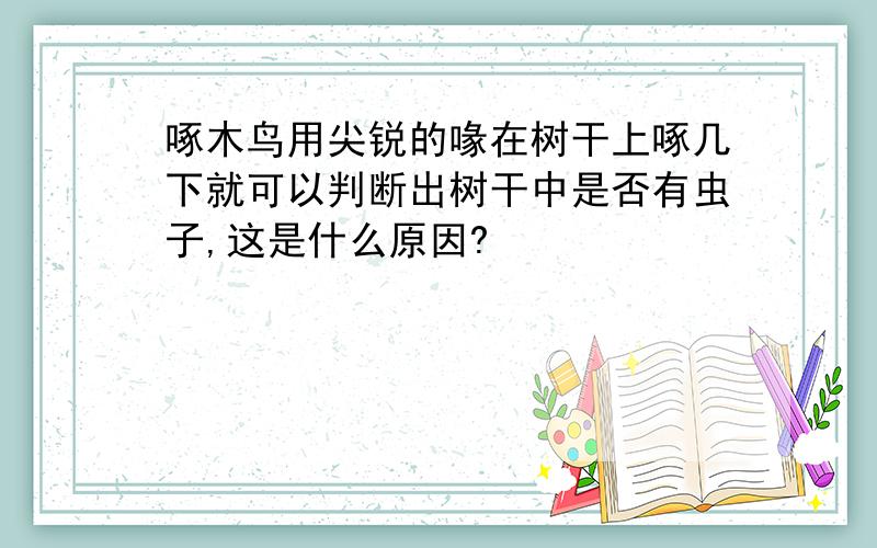 啄木鸟用尖锐的喙在树干上啄几下就可以判断出树干中是否有虫子,这是什么原因?