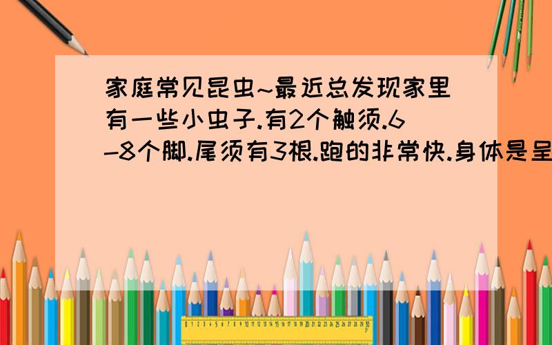 家庭常见昆虫~最近总发现家里有一些小虫子.有2个触须.6-8个脚.尾须有3根.跑的非常快.身体是呈扁圆形,不知道这是什么昆虫,而且会爬墙.求各位知道这种生物的,发来图片,