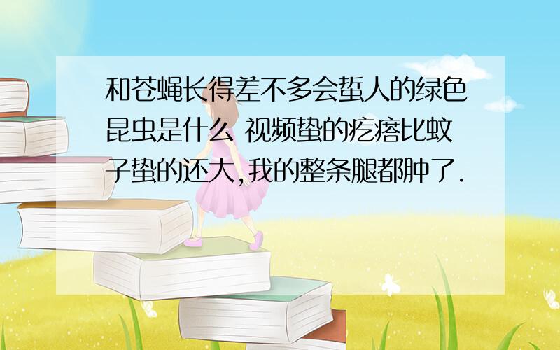 和苍蝇长得差不多会蜇人的绿色昆虫是什么 视频蛰的疙瘩比蚊子蛰的还大,我的整条腿都肿了.