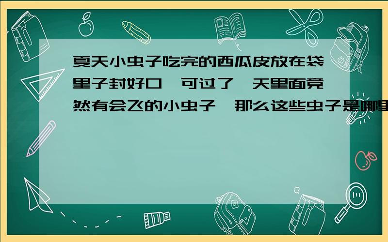 夏天小虫子吃完的西瓜皮放在袋里子封好口,可过了一天里面竟然有会飞的小虫子,那么这些虫子是哪里来的呢?