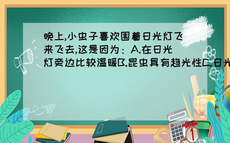 晚上,小虫子喜欢围着日光灯飞来飞去,这是因为：A.在日光灯旁边比较温暖B.昆虫具有趋光性C.日光灯管点亮时会激发灯管内的化学物质,这些物质对昆虫有吸引力