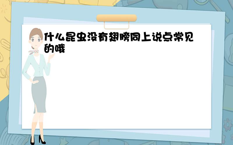 什么昆虫没有翅膀同上说点常见的哦