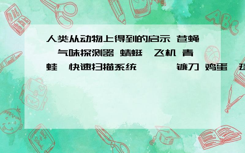 人类从动物上得到的启示 苍蝇—气味探测器 蜻蜓—飞机 青蛙—快速扫描系统 螳螂—镰刀 鸡蛋—建筑物 昆虫