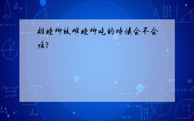 雄螳螂被雌螳螂吃的时候会不会痛?