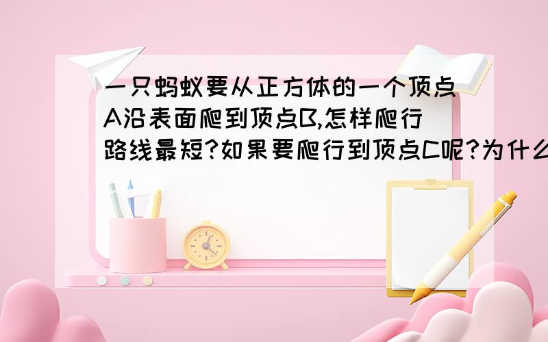 一只蚂蚁要从正方体的一个顶点A沿表面爬到顶点B,怎样爬行路线最短?如果要爬行到顶点C呢?为什么《教师用书》上是6种?