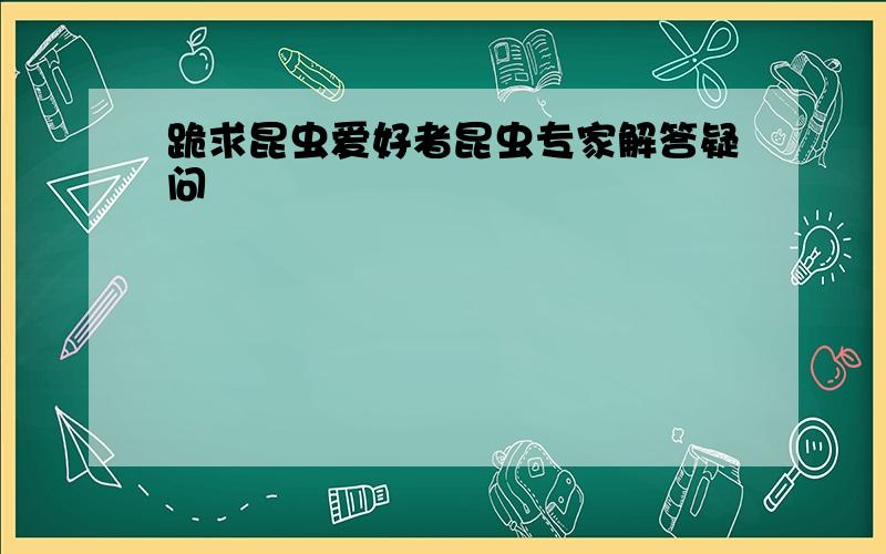 跪求昆虫爱好者昆虫专家解答疑问