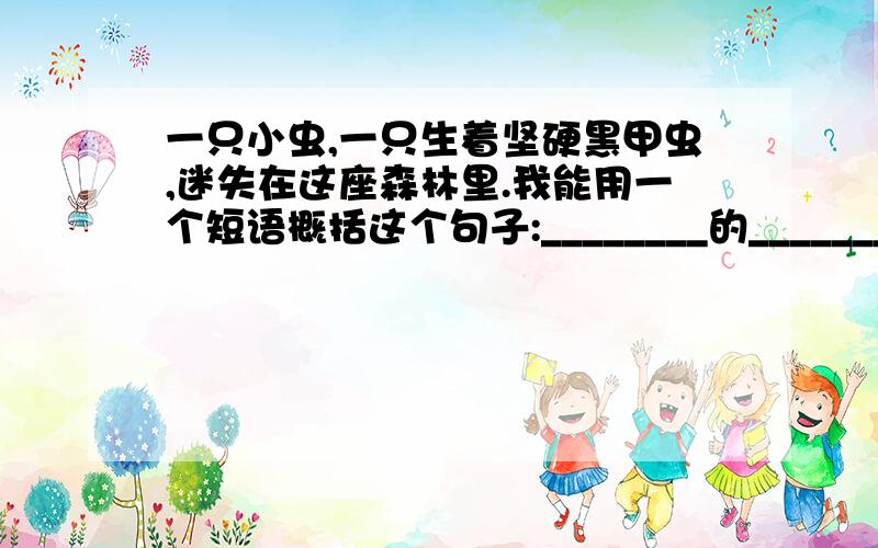 一只小虫,一只生着坚硬黑甲虫,迷失在这座森林里.我能用一个短语概括这个句子:________的________.