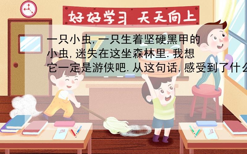 一只小虫,一只生着坚硬黑甲的小虫,迷失在这坐森林里.我想它一定是游侠吧.从这句话,感受到了什么?