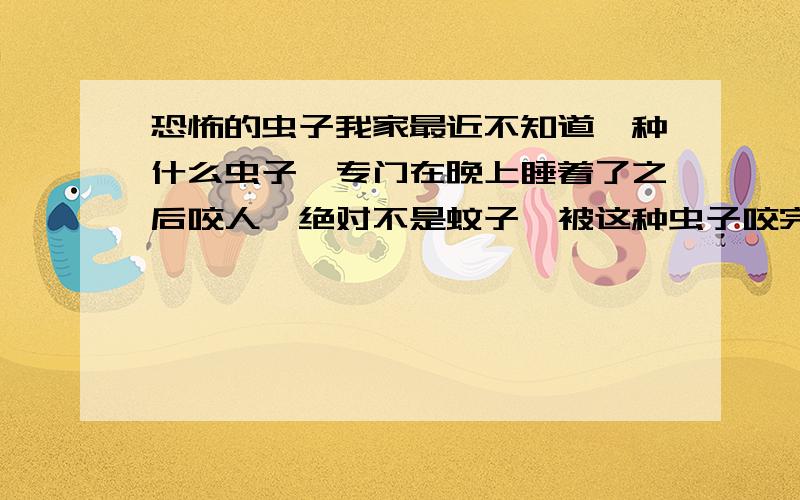 恐怖的虫子我家最近不知道一种什么虫子,专门在晚上睡着了之后咬人,绝对不是蚊子,被这种虫子咬完之后,特别痒,肿的地方有大有小,最重要的一点就是咬完人之后最少一个星期都不会痊愈,打