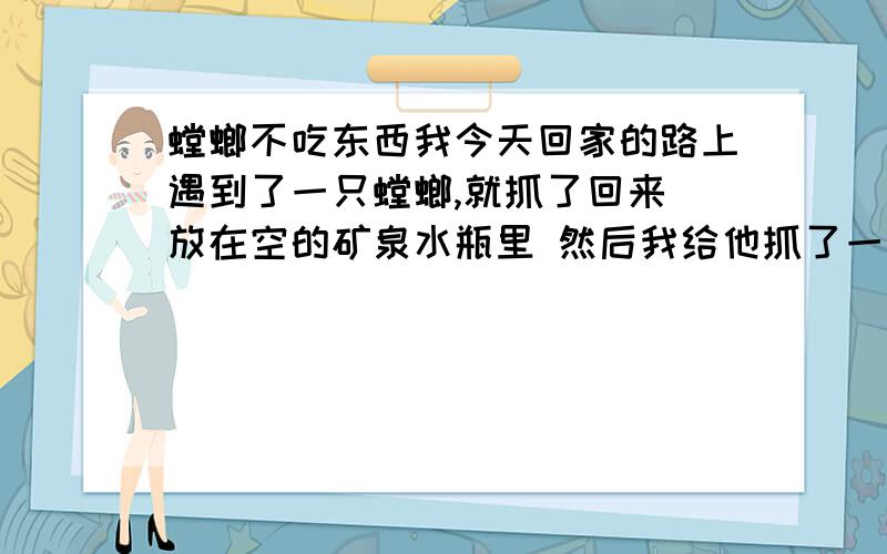 螳螂不吃东西我今天回家的路上遇到了一只螳螂,就抓了回来 放在空的矿泉水瓶里 然后我给他抓了一只蚂蚱 可是他见了蚂蚱怕的要死 急忙逃跑 怎么也不吃 这是为什么?他好像老是看着我 还