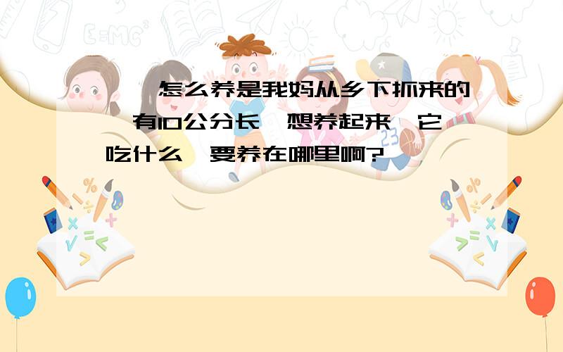 螳螂怎么养是我妈从乡下抓来的,有10公分长,想养起来,它吃什么、要养在哪里啊?