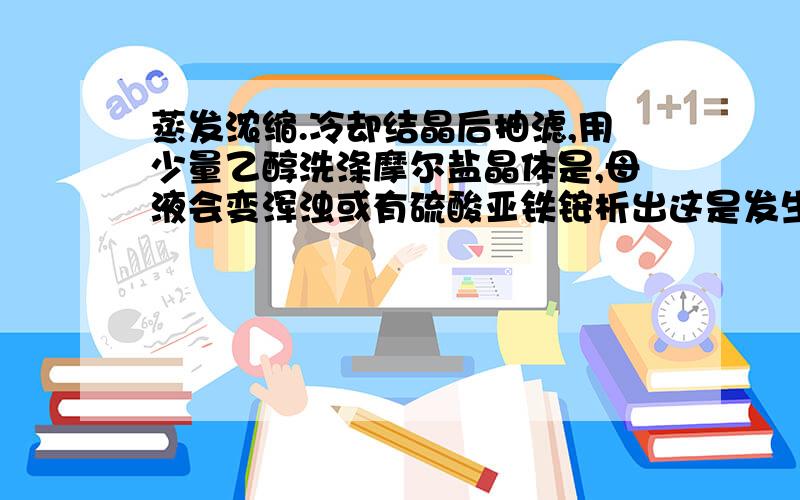 蒸发浓缩.冷却结晶后抽滤,用少量乙醇洗涤摩尔盐晶体是,母液会变浑浊或有硫酸亚铁铵析出这是发生了透析吗?为什么会出现这种现象?