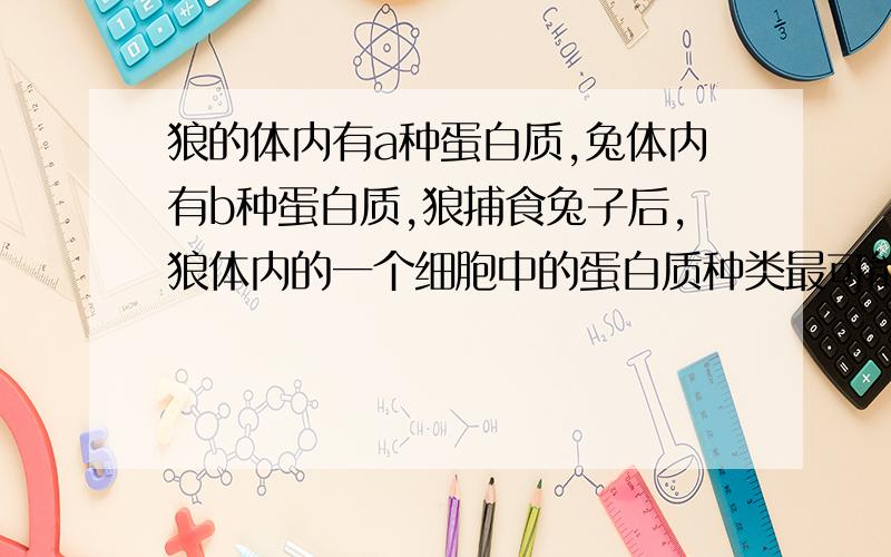 狼的体内有a种蛋白质,兔体内有b种蛋白质,狼捕食兔子后,狼体内的一个细胞中的蛋白质种类最可能有?A、大于a种 B、小于a种 C、a+b种 D、a种