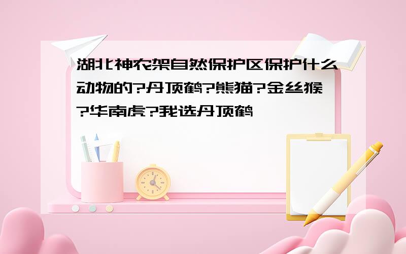 湖北神农架自然保护区保护什么动物的?丹顶鹤?熊猫?金丝猴?华南虎?我选丹顶鹤