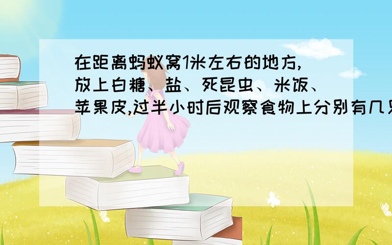 在距离蚂蚁窝1米左右的地方,放上白糖、盐、死昆虫、米饭、苹果皮,过半小时后观察食物上分别有几只蚂蚁.