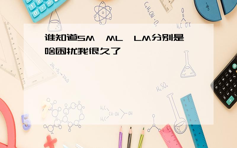 谁知道SM,ML,LM分别是啥困扰我很久了