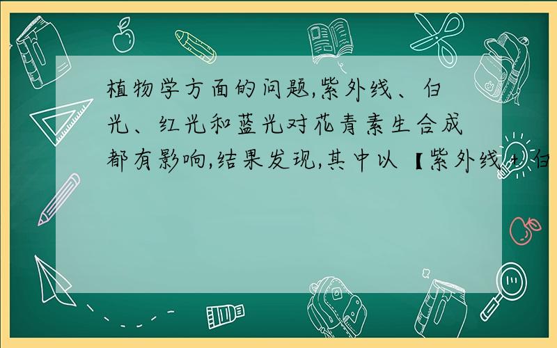 植物学方面的问题,紫外线、白光、红光和蓝光对花青素生合成都有影响,结果发现,其中以【紫外线＋白光】的组合,对增加花青素的累积最具有效果.花青素是目前已知对抗紫外线最有效的抗