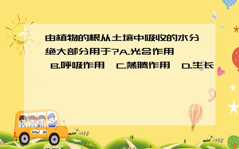 由植物的根从土壤中吸收的水分绝大部分用于?A.光合作用  B.呼吸作用  C.蒸腾作用  D.生长