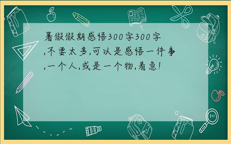 暑假假期感悟300字300字,不要太多,可以是感悟一件事,一个人,或是一个物,着急!