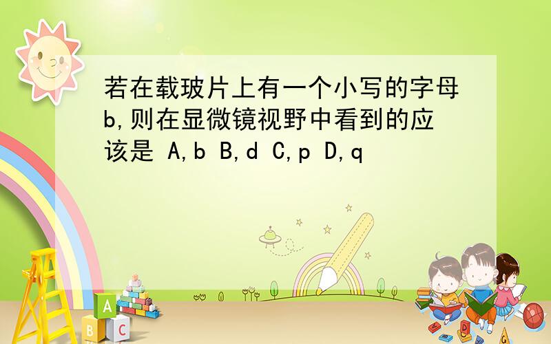 若在载玻片上有一个小写的字母b,则在显微镜视野中看到的应该是 A,b B,d C,p D,q