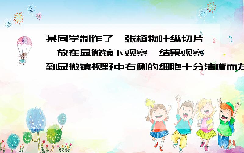 某同学制作了一张植物叶纵切片,放在显微镜下观察,结果观察到显微镜视野中右侧的细胞十分清晰而左侧的细胞却很模糊.经过检查显微镜仪器正常且操作步骤正确,则导致这种情况的可能原因